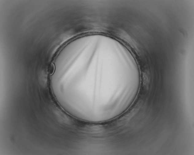 X0000113241260200910081251