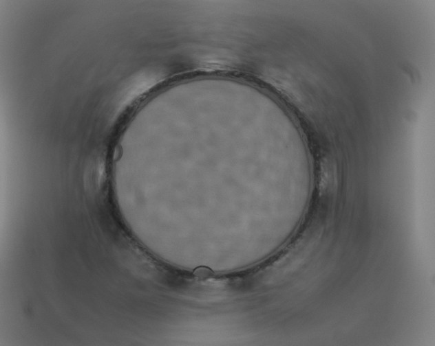 X0000113241261200910081251