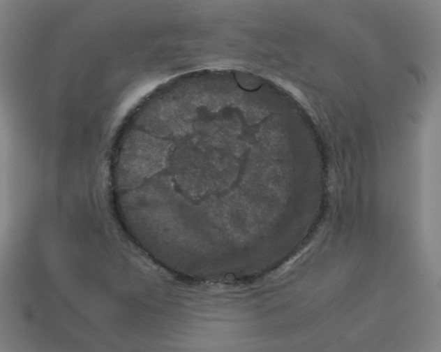 X0000113241263200910081251
