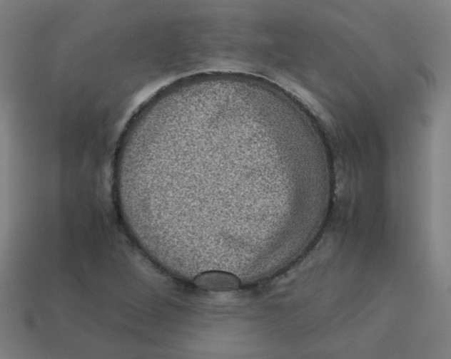 X0000113241264200910081251