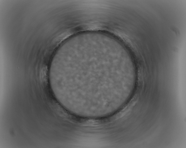 X0000113241265200910081251