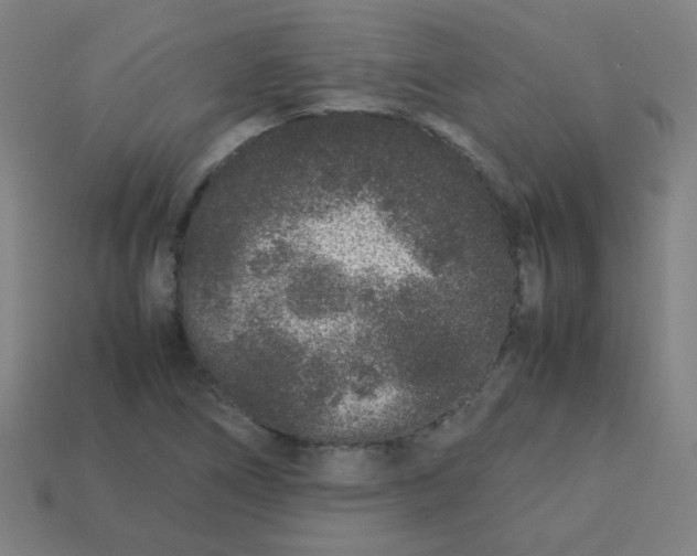 X0000113241266200910081251