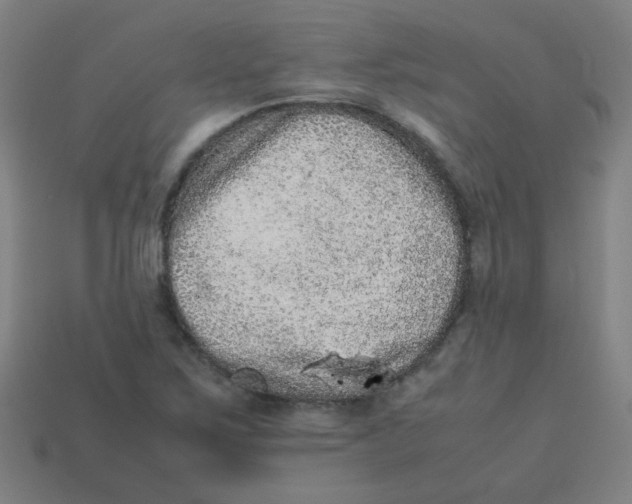 X0000113241267200910081251