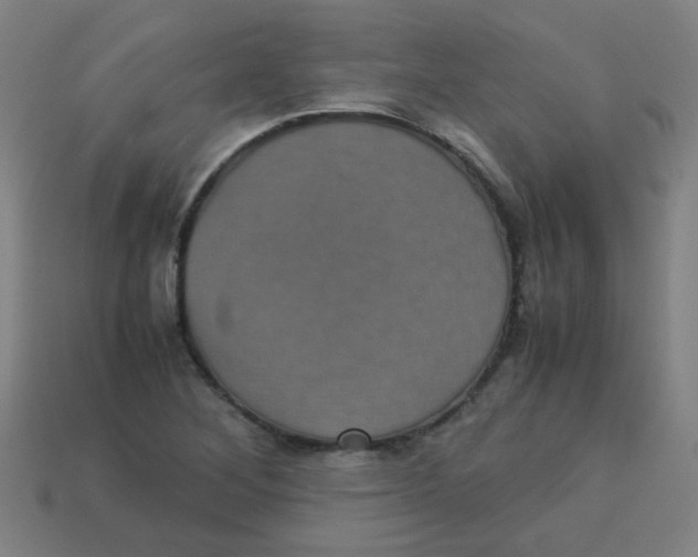 X0000113241268200910081250