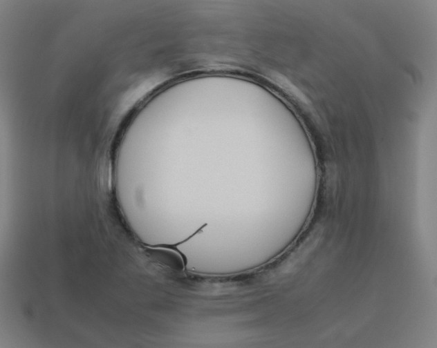 X0000113241269200910081250