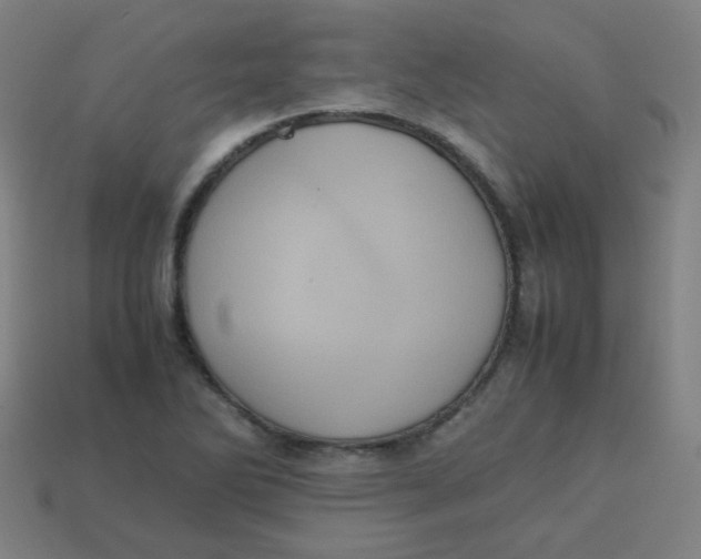 X0000113241270200910081250