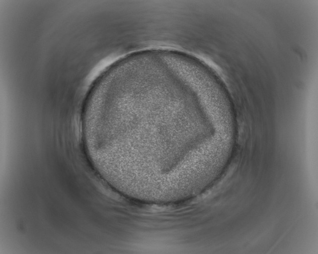 X0000113241271200910081250