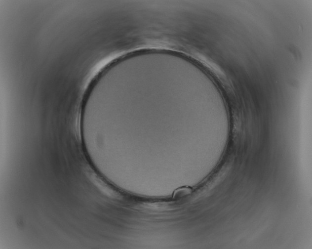 X0000113241272200910081250