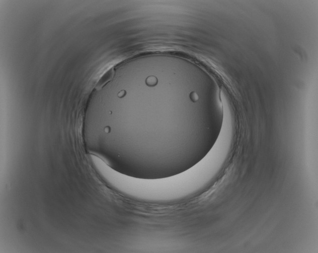 X0000113241273200910081250