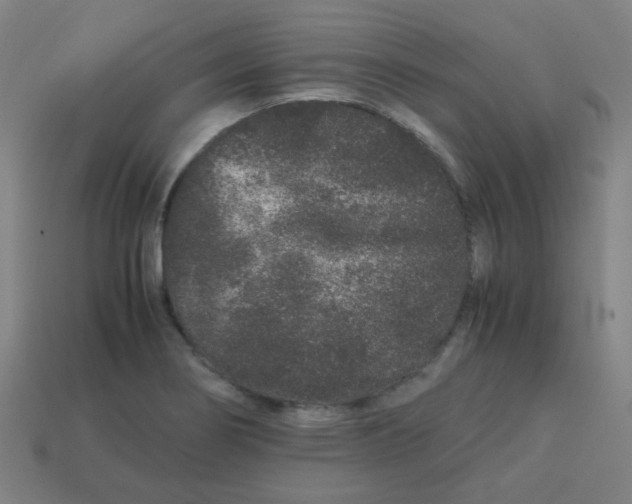 X0000113241274200910081250