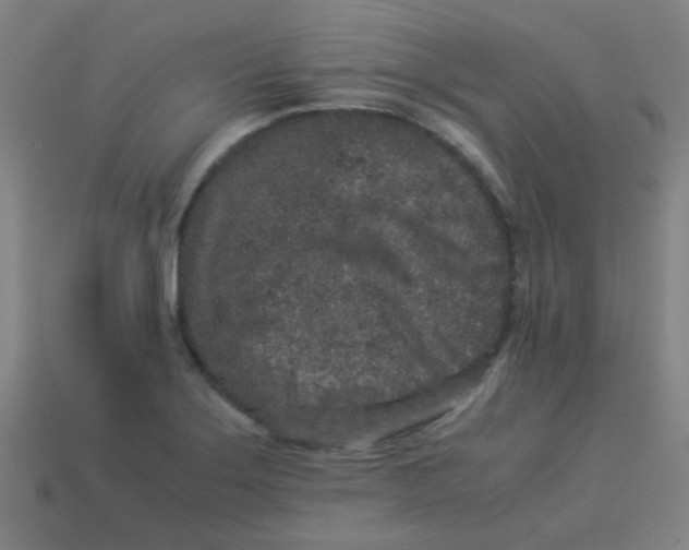 X0000113241275200910081250