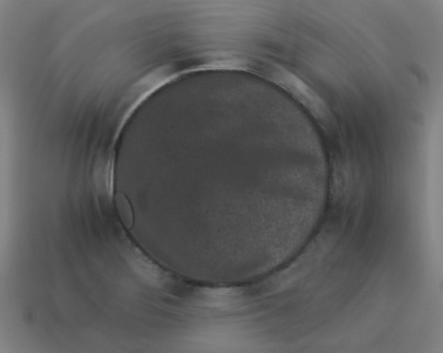 X0000113241276200910081250