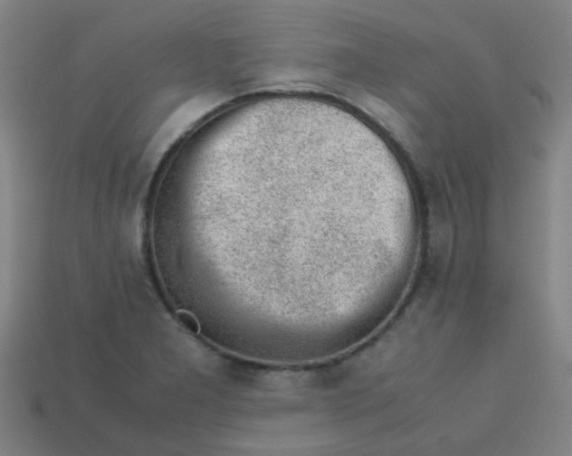 X0000113241277200910081250