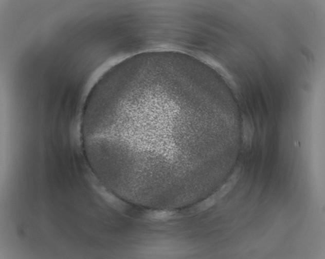 X0000113241278200910081250