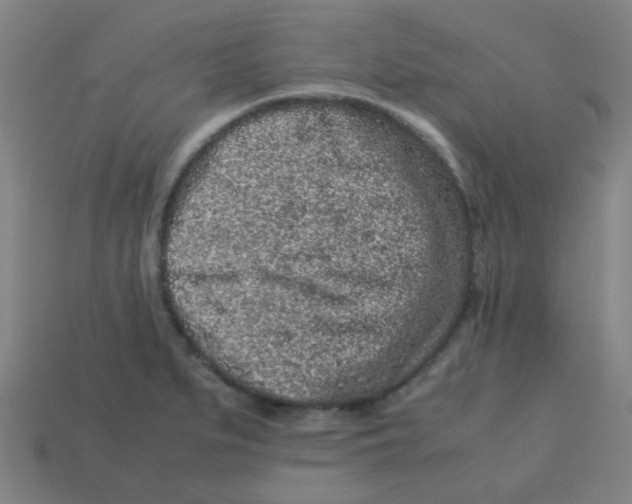 X0000113241279200910081250