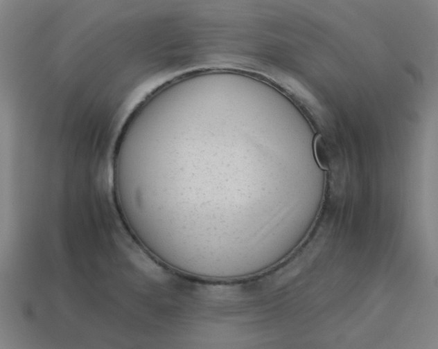 X0000113241280200910081250