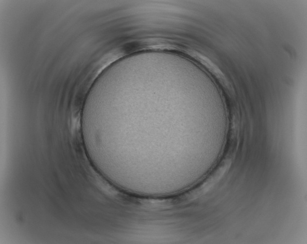 X0000113241281200910081250