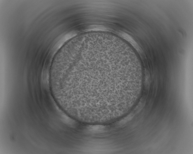 X0000113241282200910081250