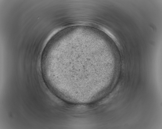 X0000113241283200910081250