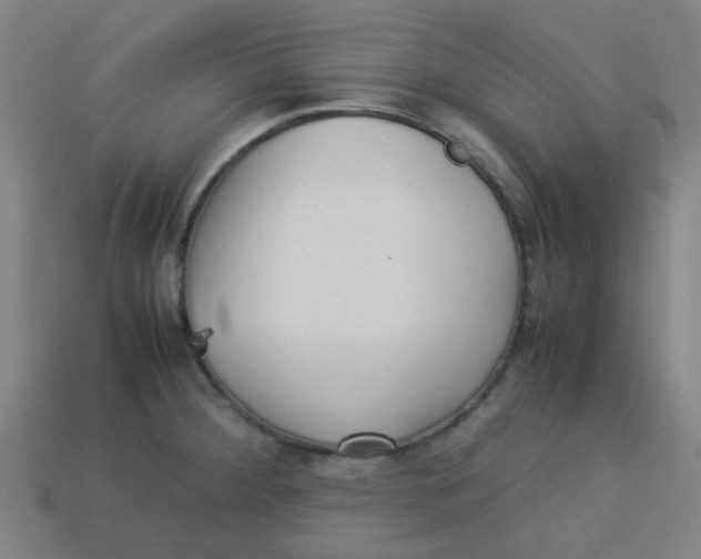 X0000113241284200910081250