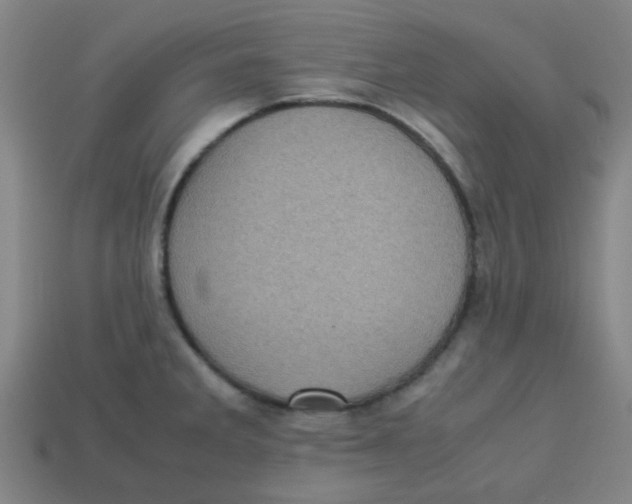 X0000113241285200910081250