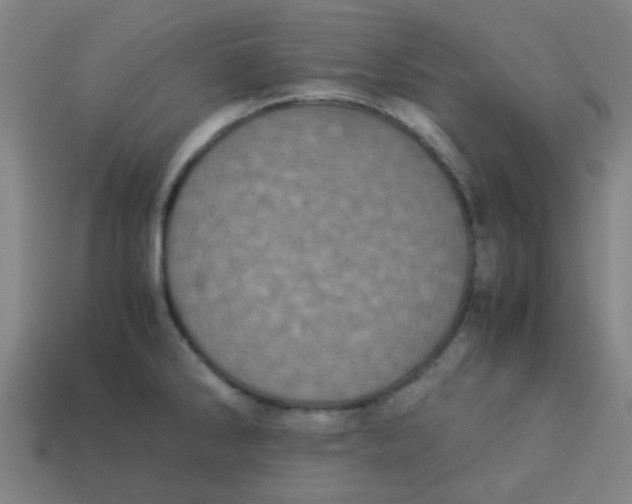 X0000113241286200910081250