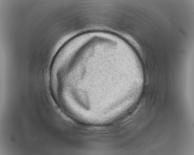 X0000113241287200910081250