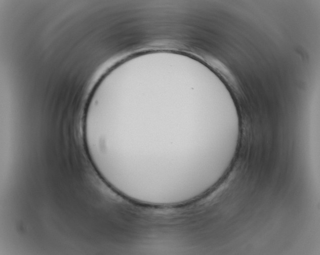 X0000113241288200910081250