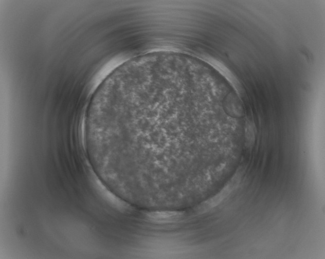 X0000113241290200910081250