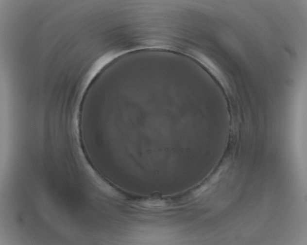 X0000113241291200910081250