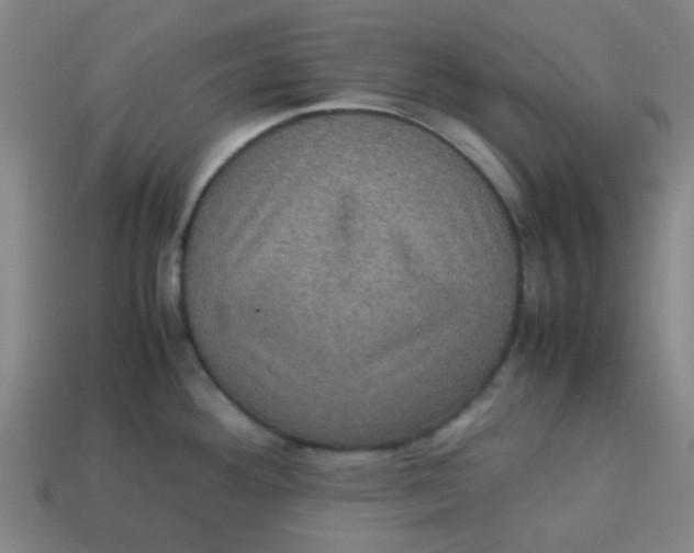 X0000113241292200910081250