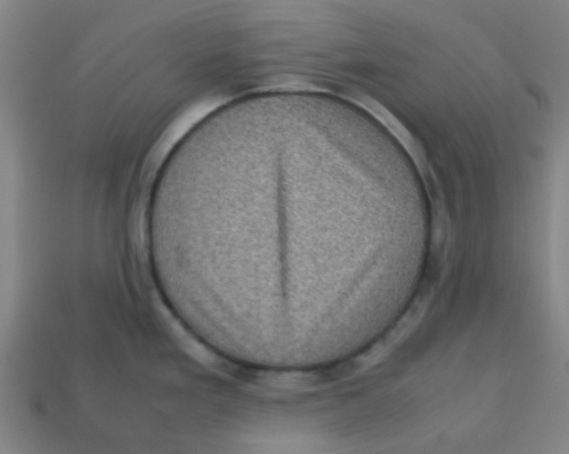 X0000113241293200910081250