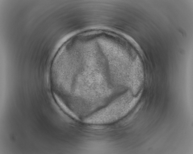 X0000113241295200910081250