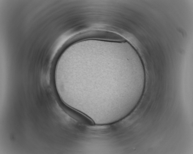 X0000113241296200910081250