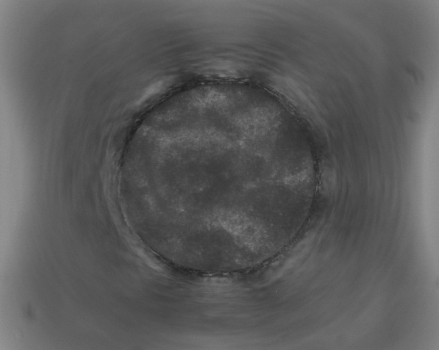 X0000113241297200910081250