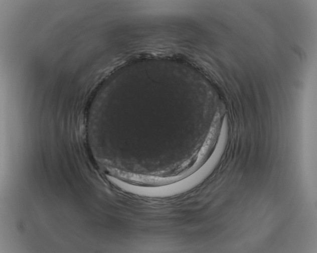 X0000113241298200910081250