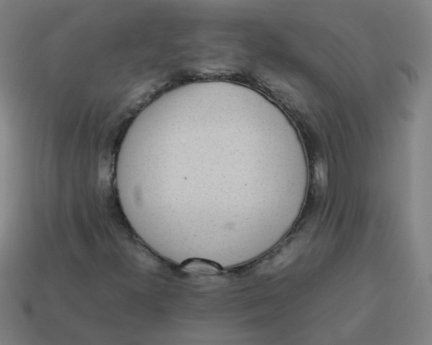 X0000113241300200910081250