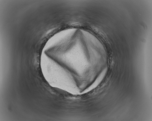 X0000113241301200910081250