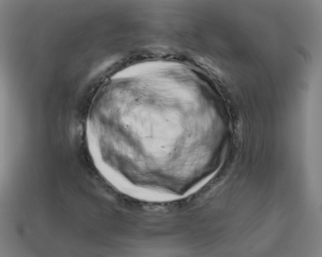 X0000113241302200910081250