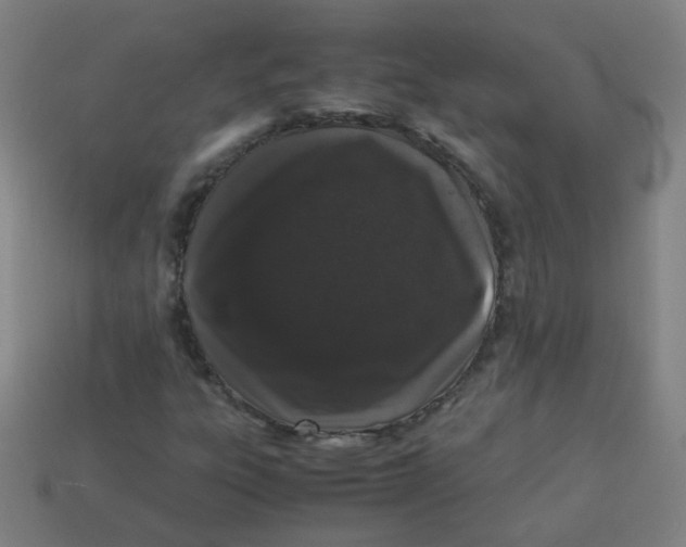 X0000113241303200910081250