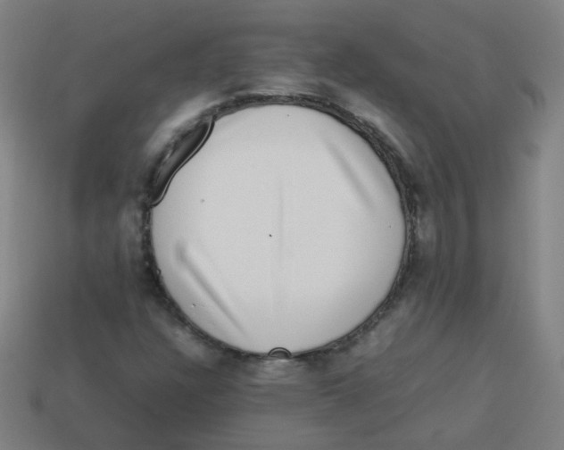 X0000113241304200910081250