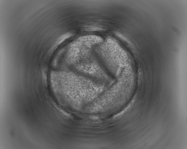 X0000113241305200910081250