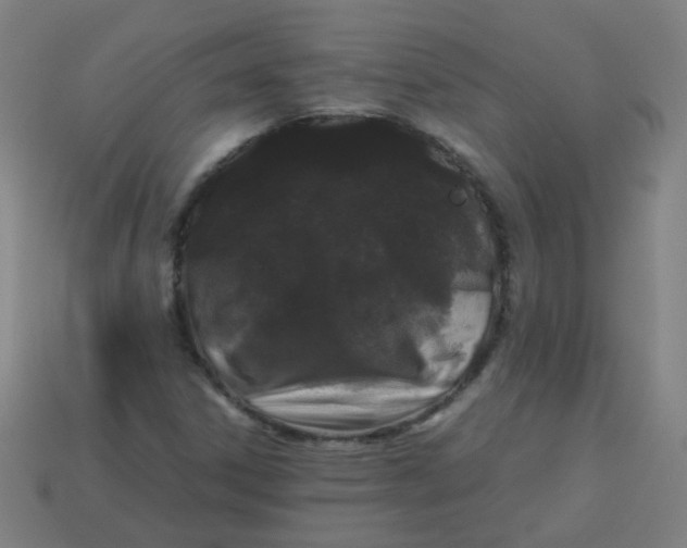 X0000113241306200910081250