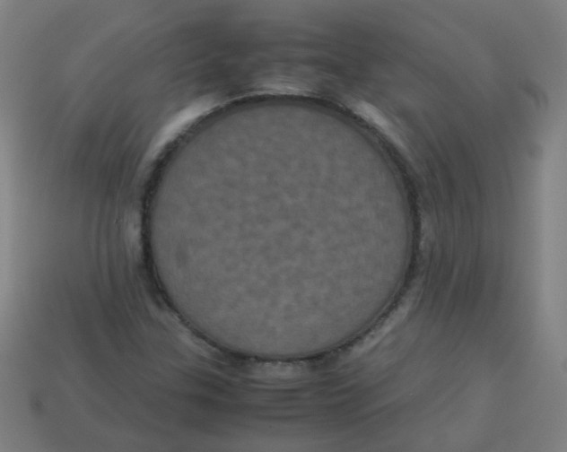 X0000113241307200910081250