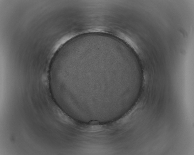 X0000113241308200910081250