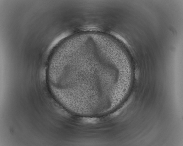 X0000113241309200910081250