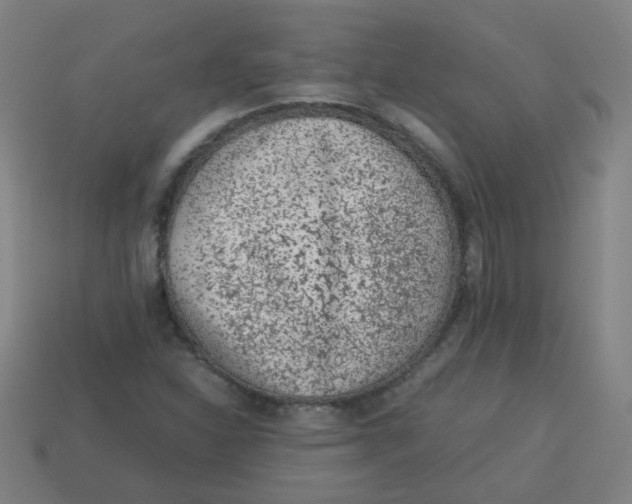 X0000113241310200910081250