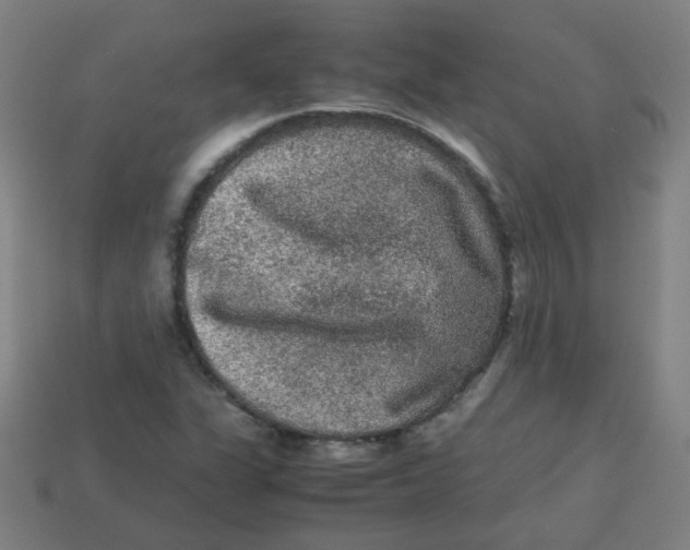 X0000113241311200910081250