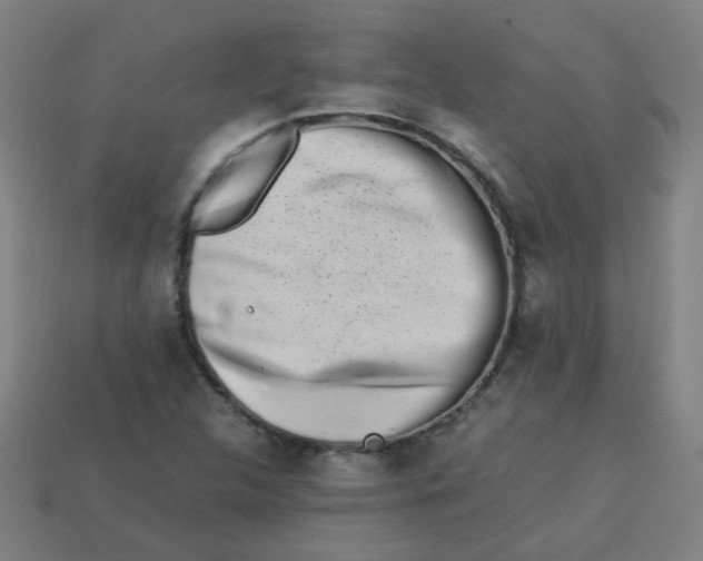 X0000113241312200910081250