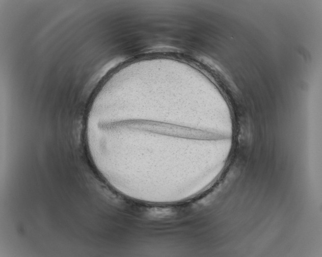 X0000113241313200910081250